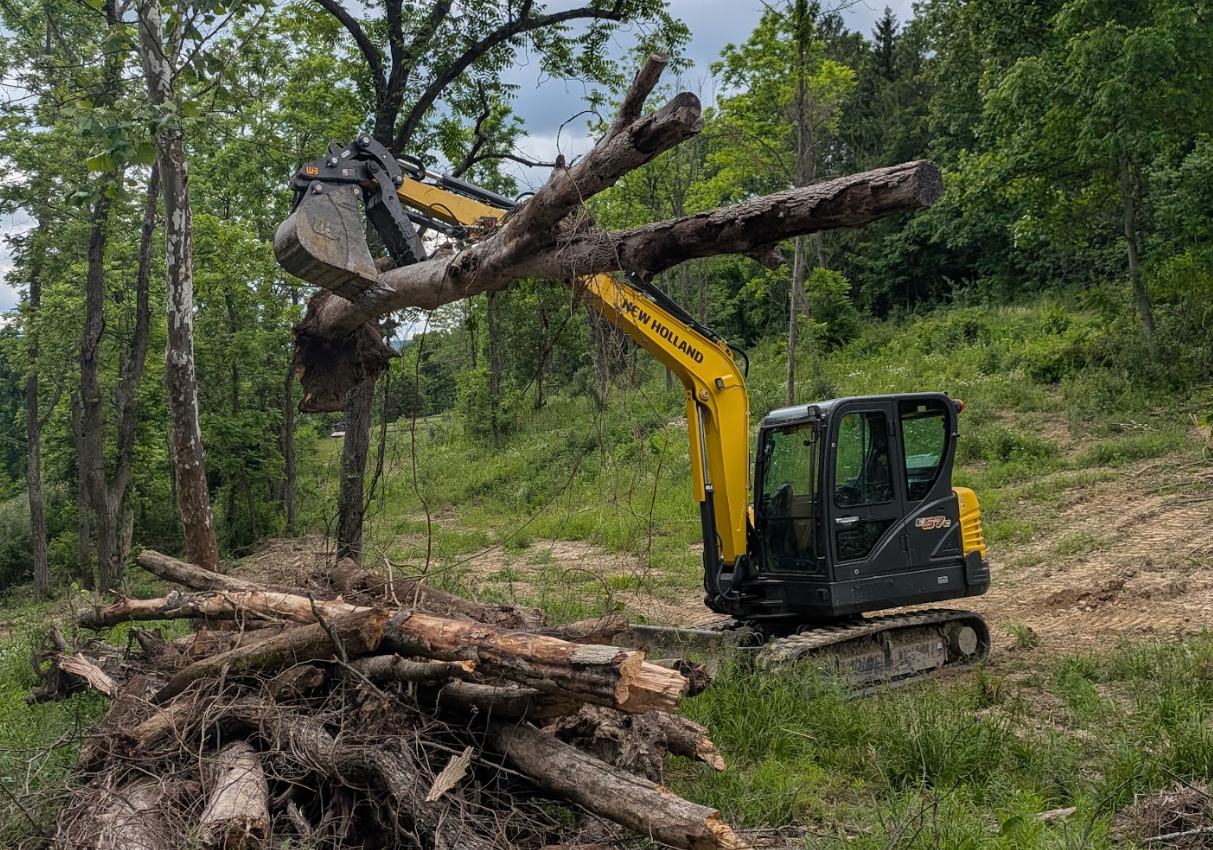 Lot Clearing